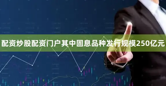 配资炒股配资门户其中固息品种发行规模250亿元