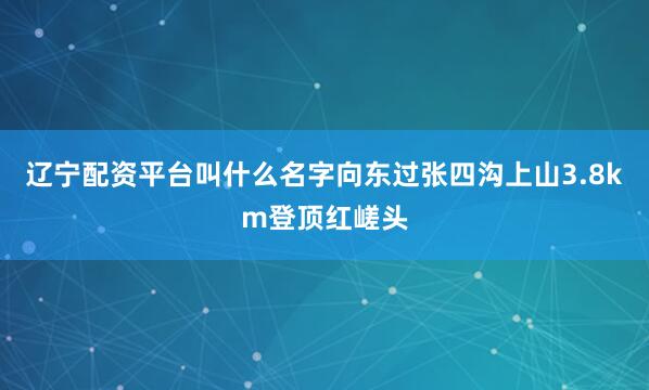 辽宁配资平台叫什么名字向东过张四沟上山3.8km登顶红嵯头